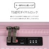 トーキョーレーベル サルートン スーツケース ace. TOKYO LABEL tokyo-05362