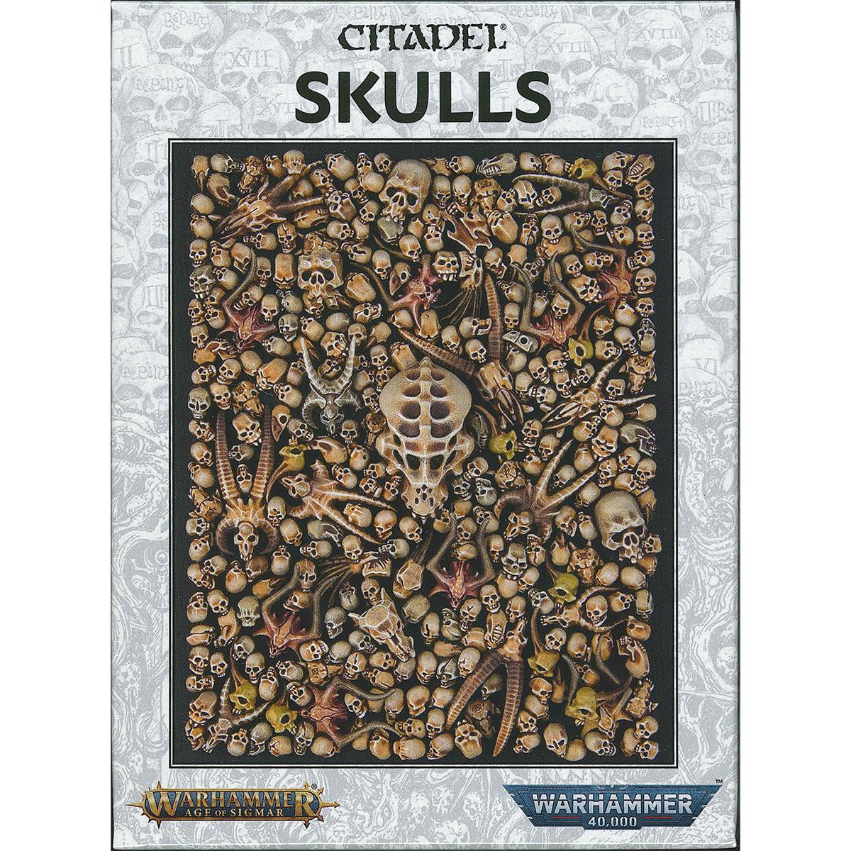 ウォーハンマー シタデルスカル WARHAMMER CITADEL SKULLS 64-29