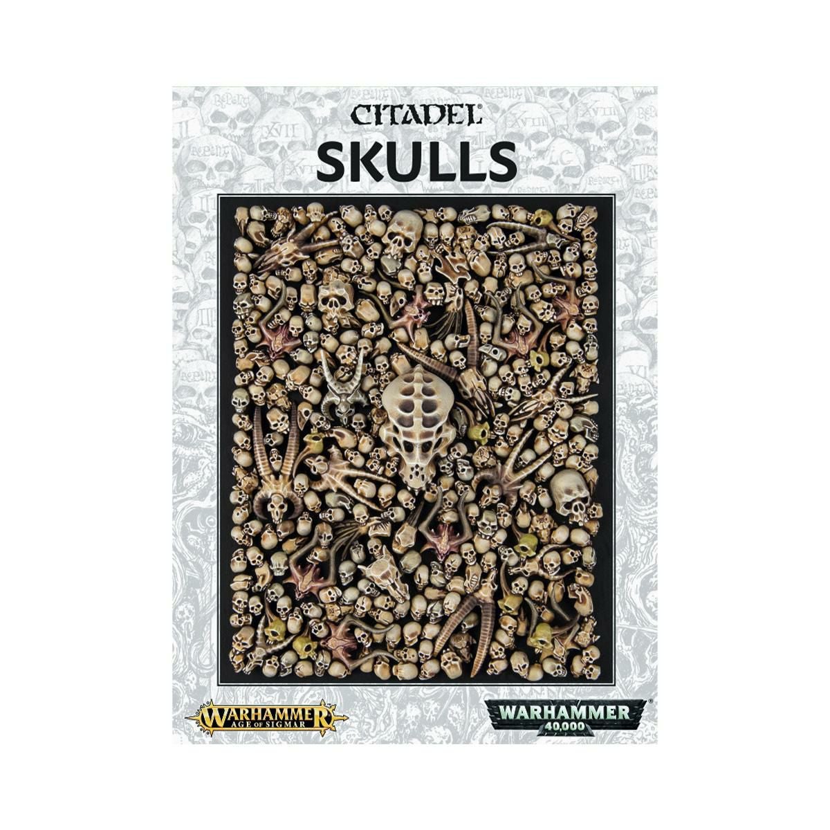 ウォーハンマー シタデルスカル WARHAMMER CITADEL SKULLS 64-29