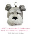 NICI figurine pass case カードケース 名刺入れ  nici-p-case1