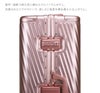 トーキョーレーベル アルゴナム2-F×ジュエルナローズ スーツケース ace. TOKYO LABEL tokyo-05412