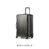 グレゴリー トラベル スーツケース GREGORY quadropro28