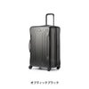 グレゴリー トラベル スーツケース GREGORY quadropro28