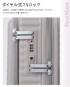ハント ココント スーツケース HaNT hant-05513