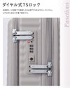 ハント ココント スーツケース HaNT hant-05513