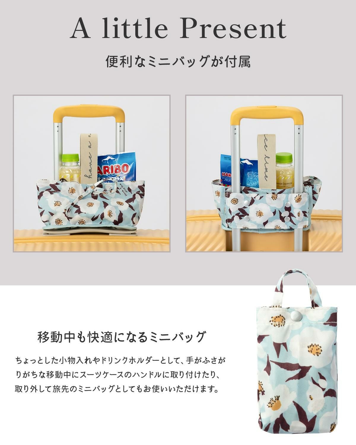 ハント ココント スーツケース HaNT hant-05515