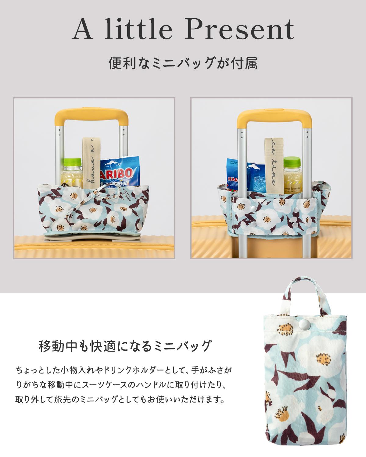 ハント ココント スーツケース HaNT hant-05515