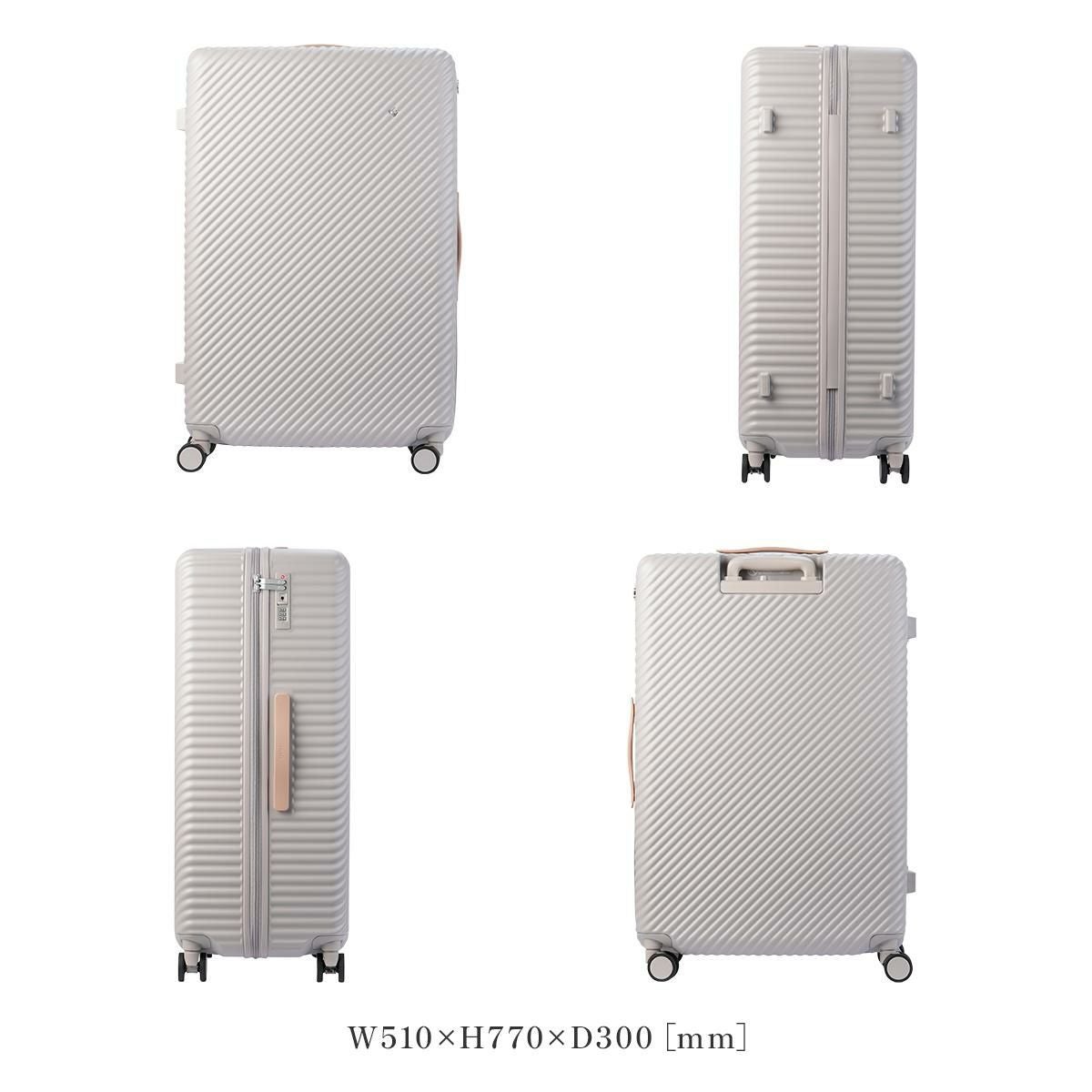 ハント ココント スーツケース HaNT hant-05516