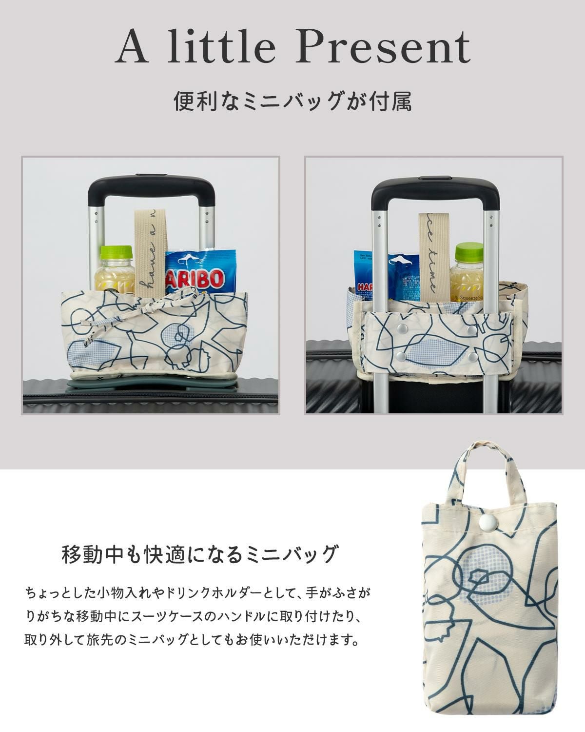 ハント ココント スーツケース HaNT hant-05516