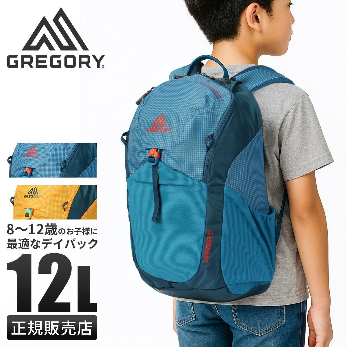 グレゴリー ユースハイキング リュック GREGORY YOUTH HIKING wander12