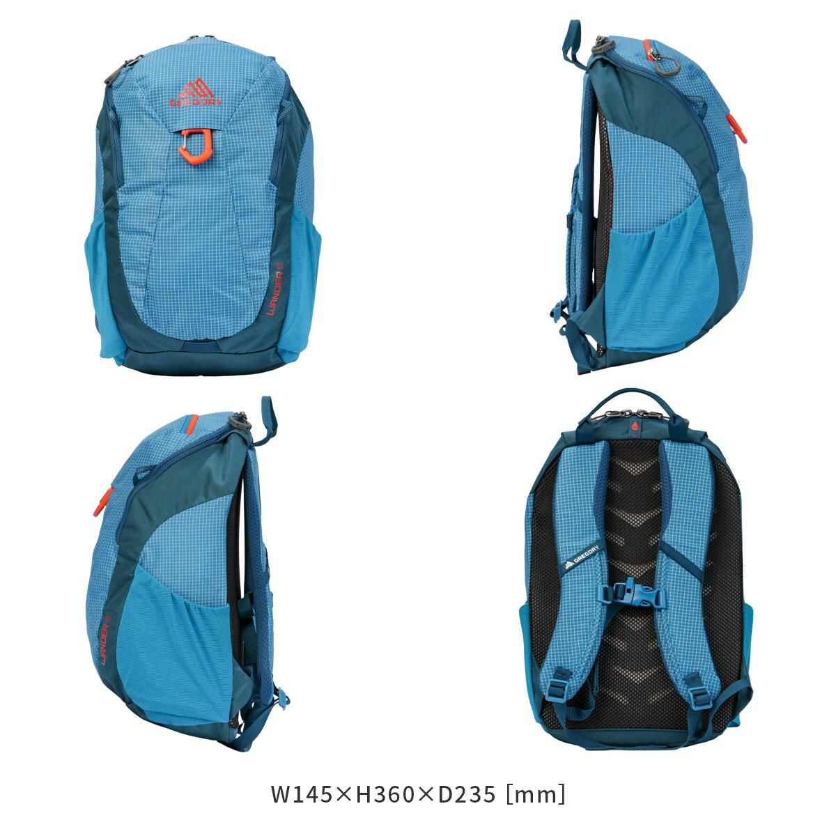 グレゴリー ユースハイキング リュック GREGORY YOUTH HIKING wander8