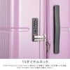 エース ファームロード スーツケース Lサイズ ACE Farm Road ace-05891