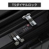 トーキョーレーベル ディフェレンス スーツケース Sサイズ SS 機内持ち込み ace. TOKYO LABEL 05721