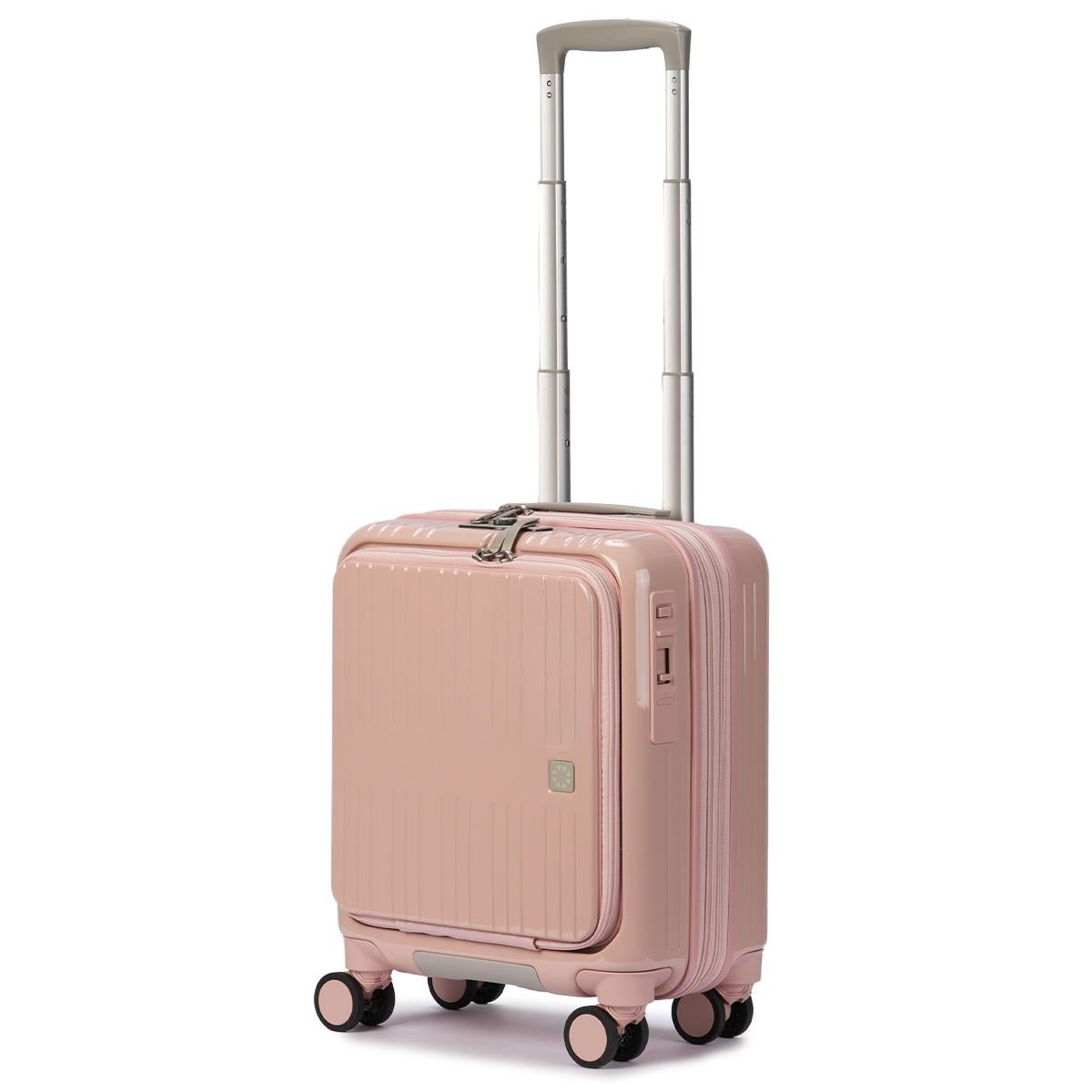 【希少】ロエベ　アナグラム　2way キャリーケース　スーツケース LOEWE ロエベ 希少レッド アナグラム キャリーバッグ キャリーケース