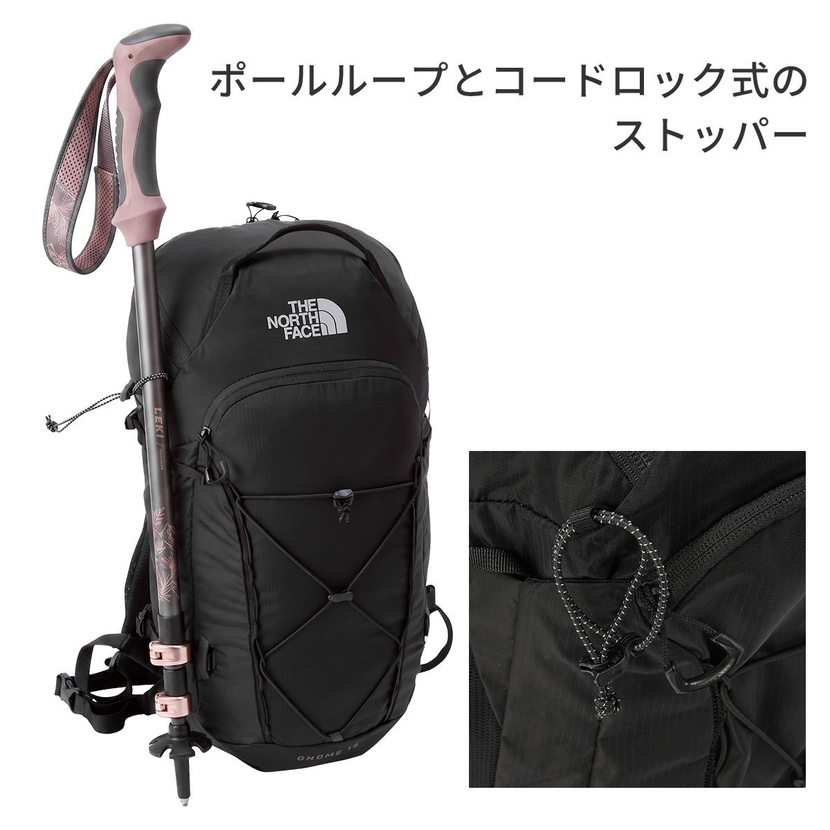 特別セール】ノースフェイス マウンテン リュック 19L THE NORTH FACE