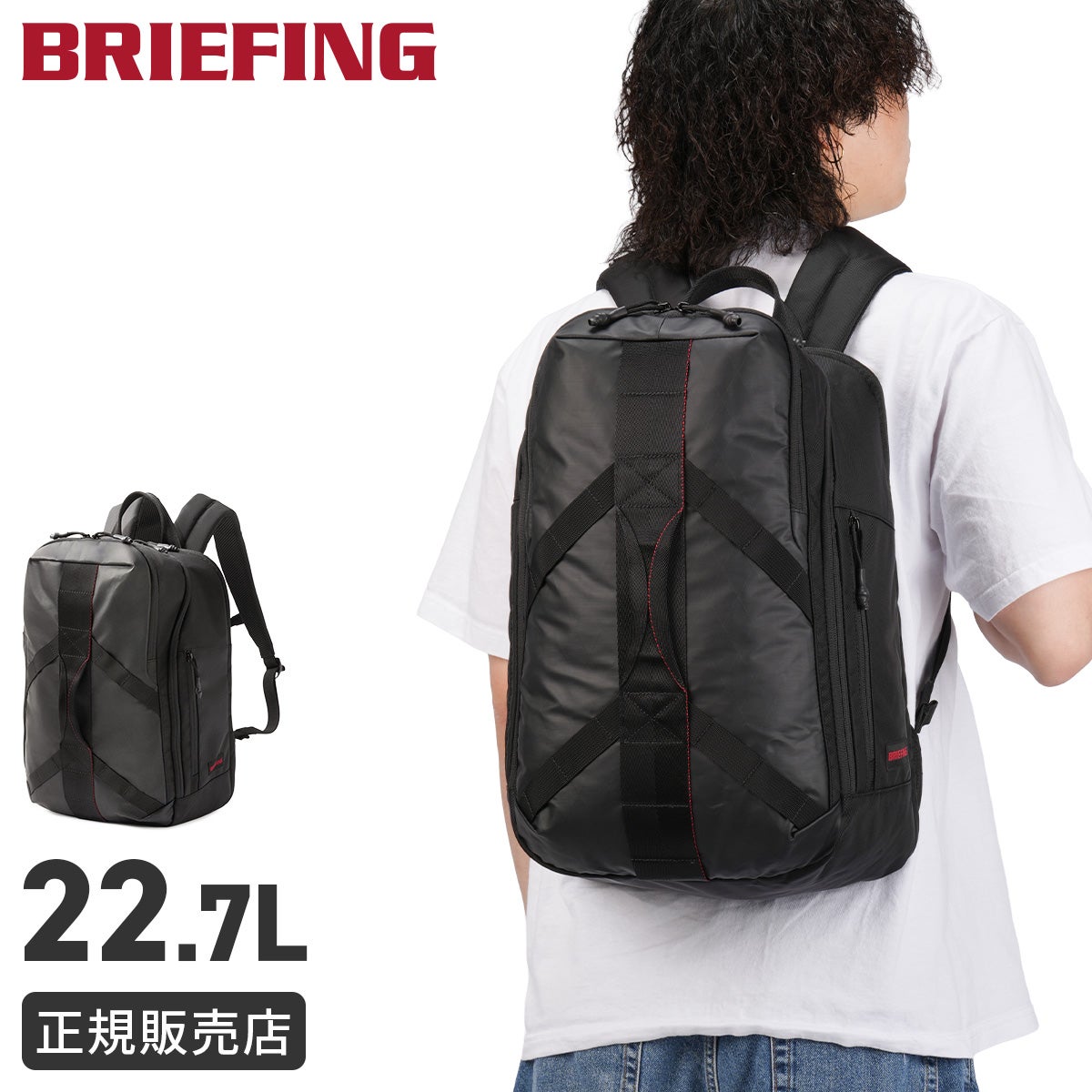 ブリーフィング レジット トリップパック バックパック 22.7L BRIEFING