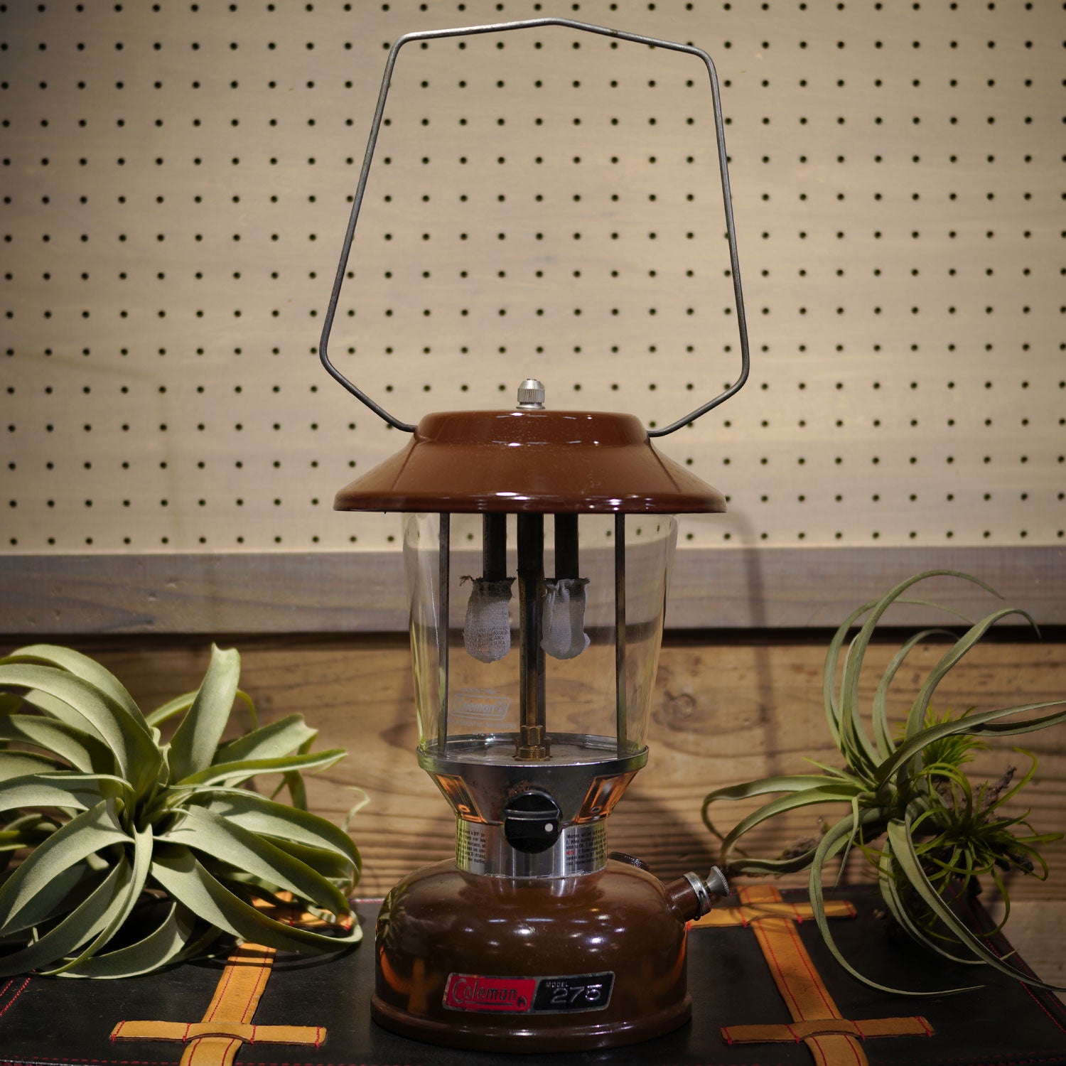 Coleman コールマン ランタン 275 275A ガソリンランタン 純正グローブ