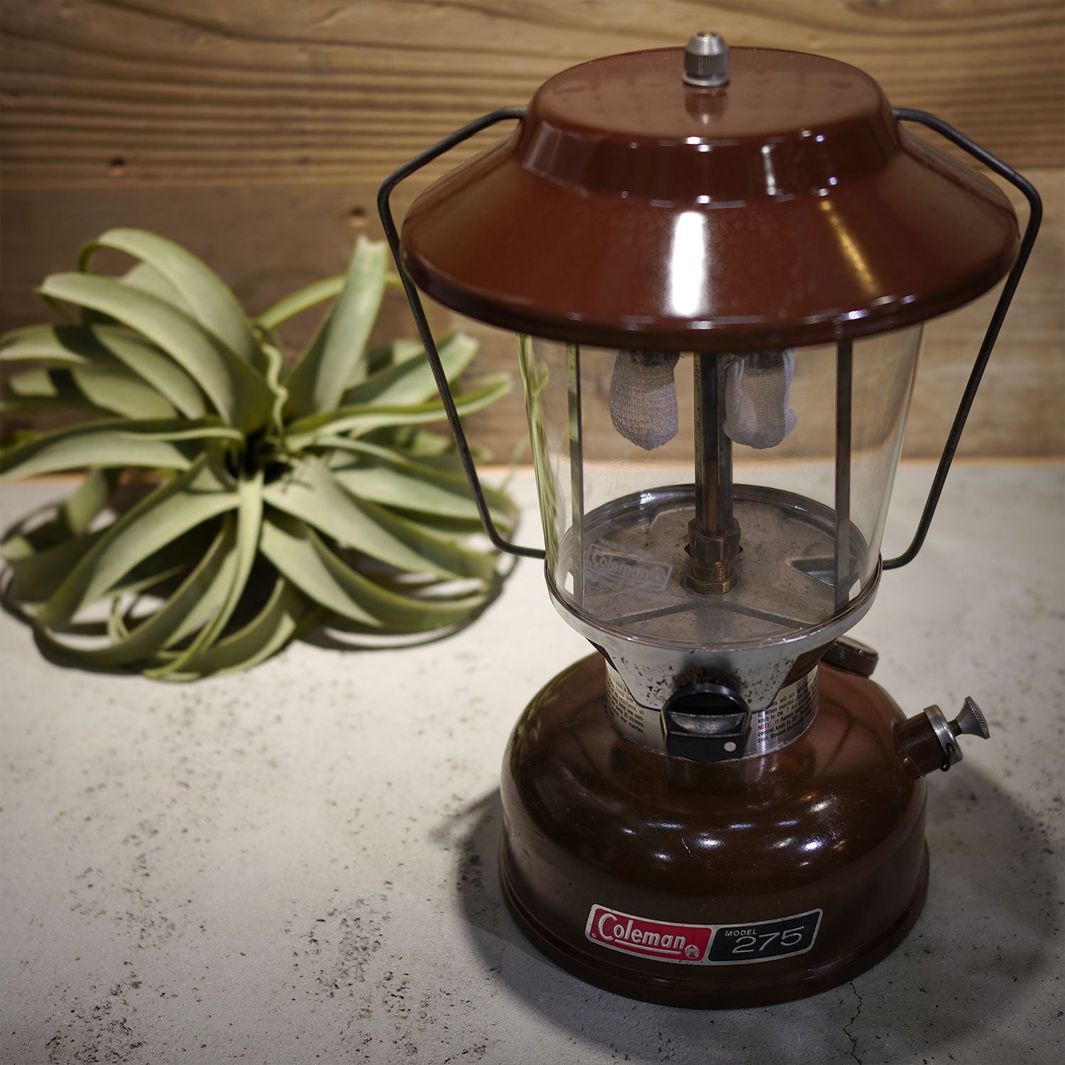 Coleman コールマン ランタン 275 275A ガソリンランタン 純正グローブ
