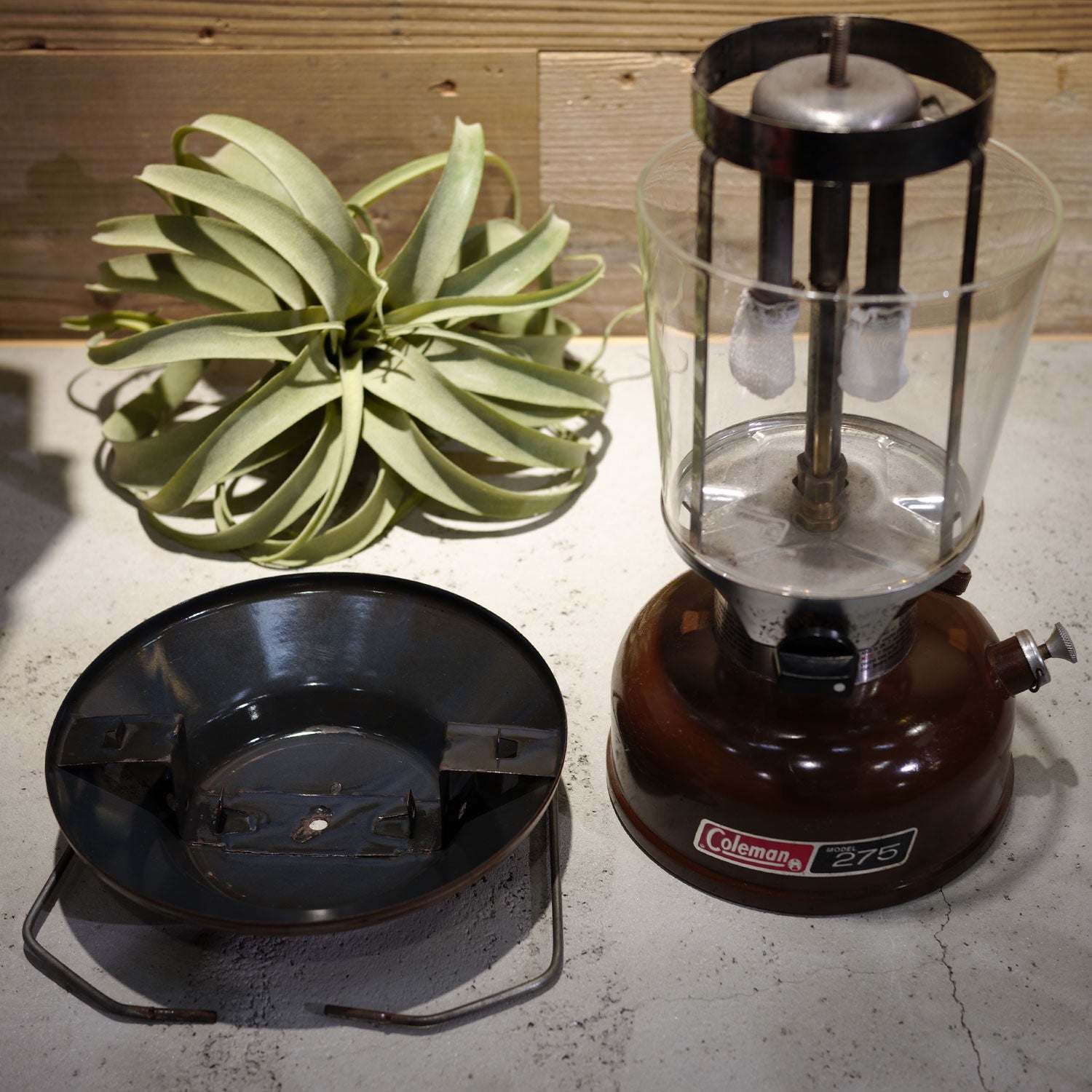 Coleman コールマン ランタン 275 275A ガソリンランタン 純正グローブ