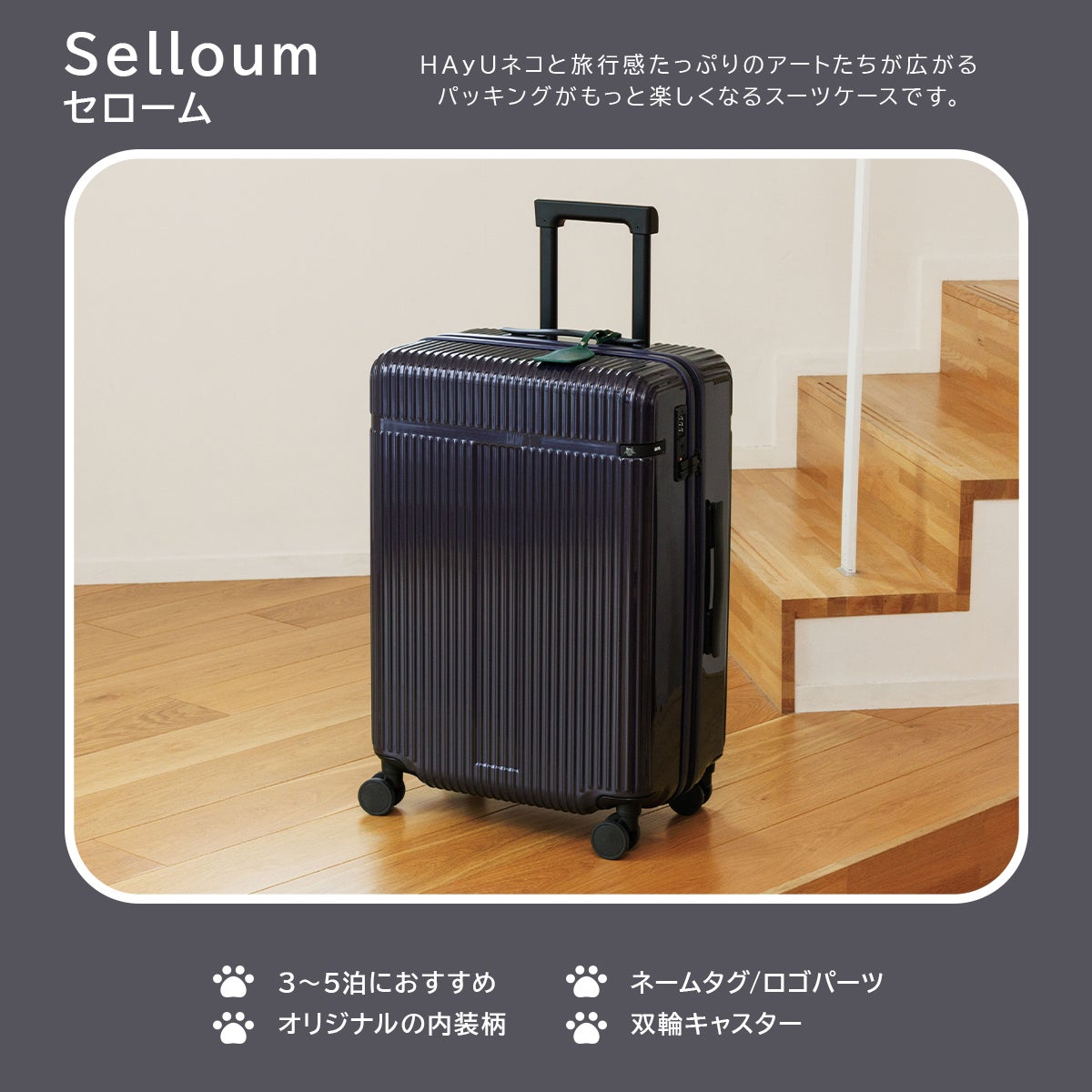貴重Hime×aobouzu×valiemトリプルコラボ二点セット 検)バリエム エース トーキョーレーベル HAyU × ace. セローム スーツケース M