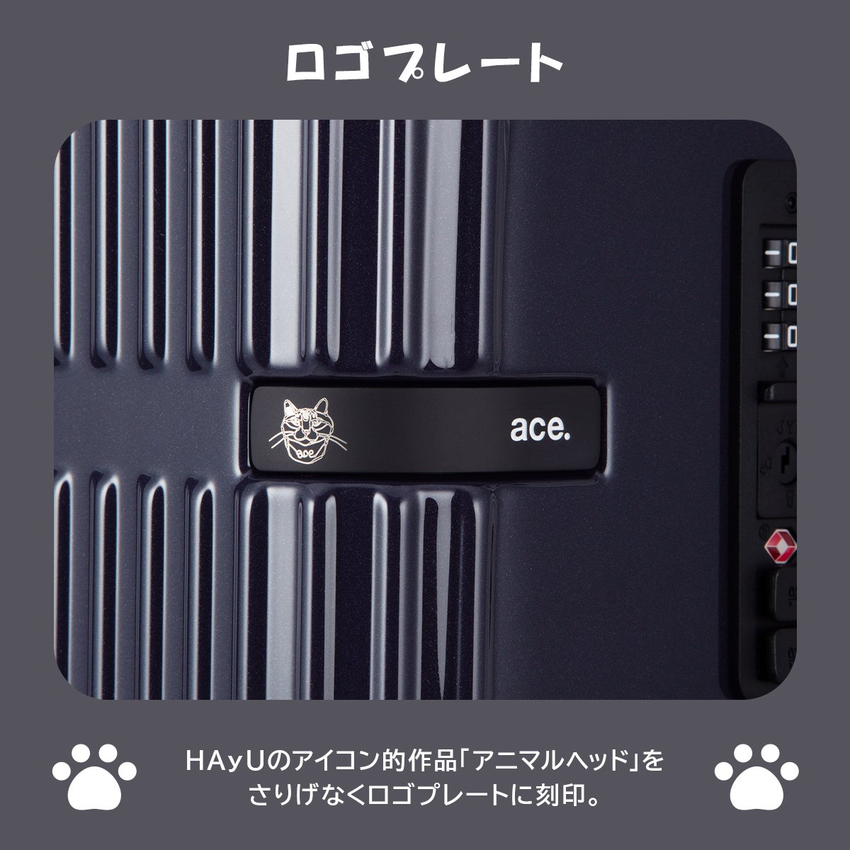 エース トーキョーレーベル HAyU × ace. セローム スーツケース M